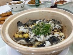 -陶然轩(沙面店)