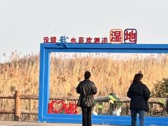 -泗洪洪泽湖湿地景区