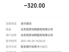 -北京观赏动物医院·24小时大型综合·猫专科·异宠专科