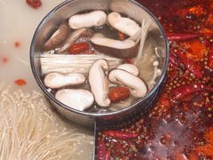 -蜀江龙火锅(339店)