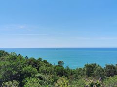 -广东惠东海龟国家级自然保护区