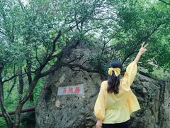 -阳台山自然风景区