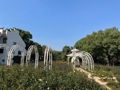 -东湖落雁景区
