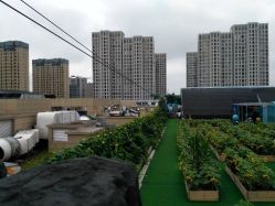 点击看大图 -可可天空农场(东部新城银泰店)