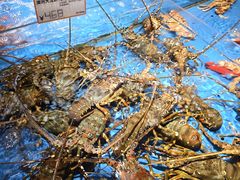 -徐记海鲜(大雁塔|金都店)