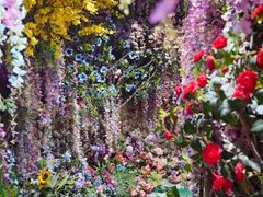 -正佳雨林生态植物园