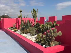 -漳州滨海火山岛自然生态风景区