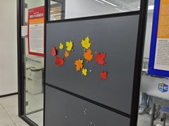 -新航道·雅思托福·Alevel AP·留学考研(光谷校区)