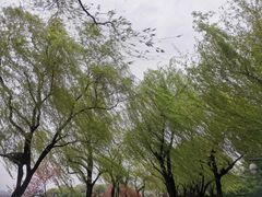 -钱王祠