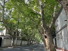 -老吉士酒家(天平路店)