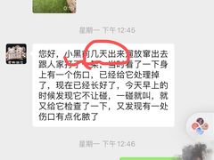 -汪说喵讲宠物乐园宠物酒店(红星美凯龙店)