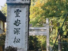 -灵谷景区