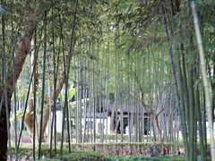 -兰亭风景区