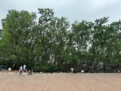 -宝安西湾红树林湿地公园