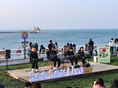 -北戴河碧螺塔海上酒吧公园