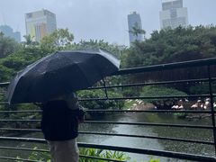 -九龙公园
