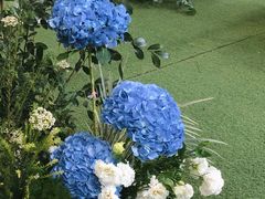 -湖滨客舍·湖北菜