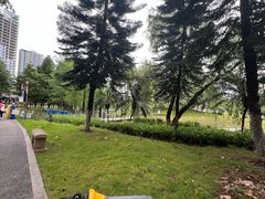 -映月湖公园