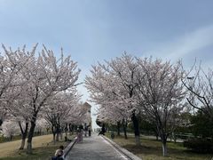 -吴越荣记苏州菜·松鼠桂鱼(月光码头店)
