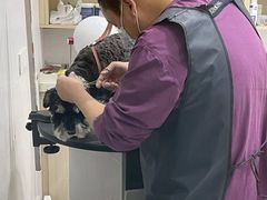 -宠颐生动物医院·小陆分院