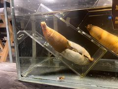 -璞御·海鲜·雪花牛肉局(宾水西道店)