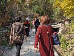 -大岭沟猕猴桃谷风景区