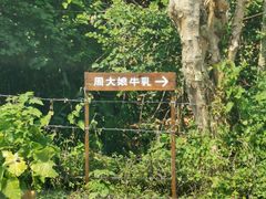 -周大娘牛乳(旧寨古村总店)