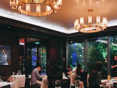 大堂-Wolfgang’s Steakhouse 沃夫冈牛排馆(上海白玉兰广场店)