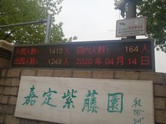 -嘉定紫藤园
