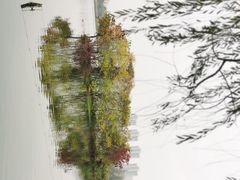 -洋湖国家湿地公园