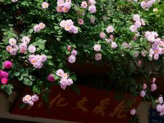 -惠山古镇·寄畅园