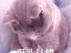 -风致肯麦基(忠信店)