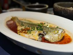 豆豉清蒸大黄鱼-维园悦谱·海派家常菜(乌鲁木齐南路店)