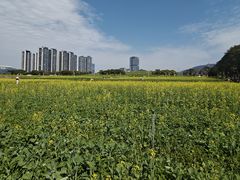 -光明小镇欢乐田园