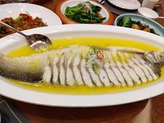 -鲁宴·鲁煨黄河生态大鲤鱼(月坛店)