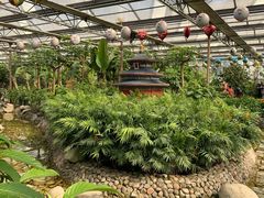 -南宫五洲植物乐园