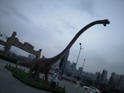 -恐龙探索乐园(磁器口店)