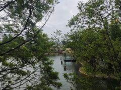 -抚仙湖万达文华酒店