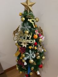 -Yukina Plus专业日式美肌