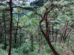 -天津盘山风景名胜区