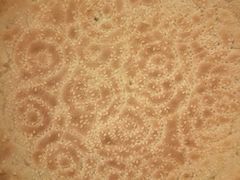 -马尔龙新疆饭店·清真(瑞景店)