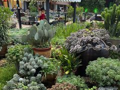 -山菌美食苑(振兴路店)