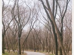 -廊坊市自然公园