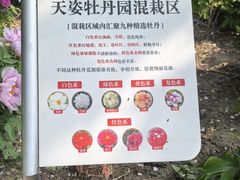 -太阳宫公园