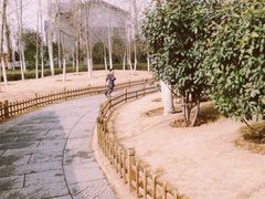 iphone_upload_pic-济南森林公园