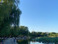 -太阳宫公园