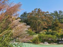 -吴淞炮台湾湿地森林公园烧烤区