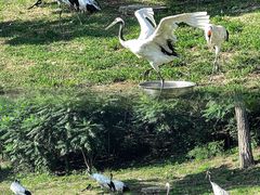 -沈阳森林动物园
