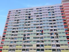-彩虹村