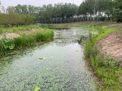 -东郊湿地公园